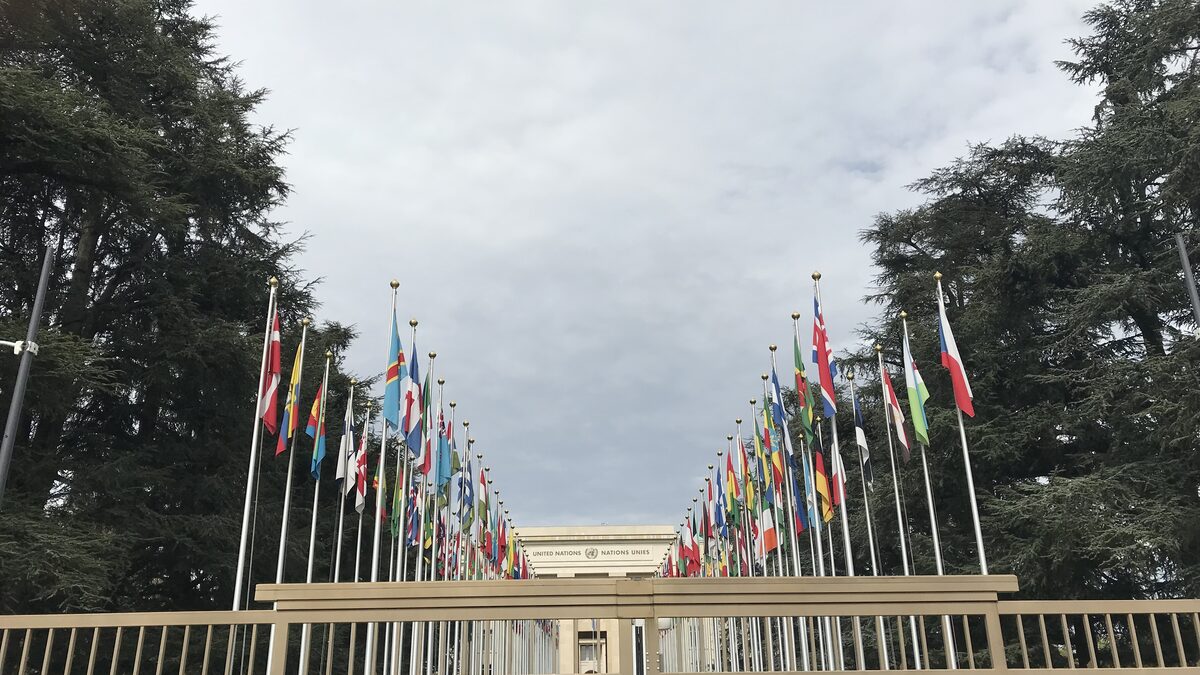 An avenue of national flags leading to the Palace of Nations in Geneva.